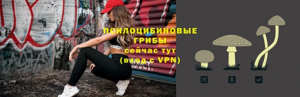 apvp Осинники