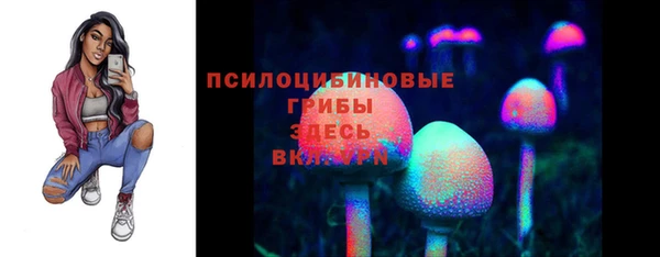 ешки Абаза