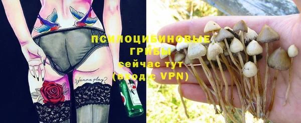 марки lsd Алзамай