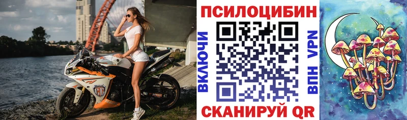 Псилоцибиновые грибы Psilocybine cubensis  Октябрьский 