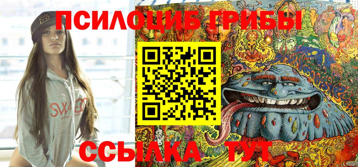 Галлюциногенные грибы Psilocybine cubensis Октябрьский